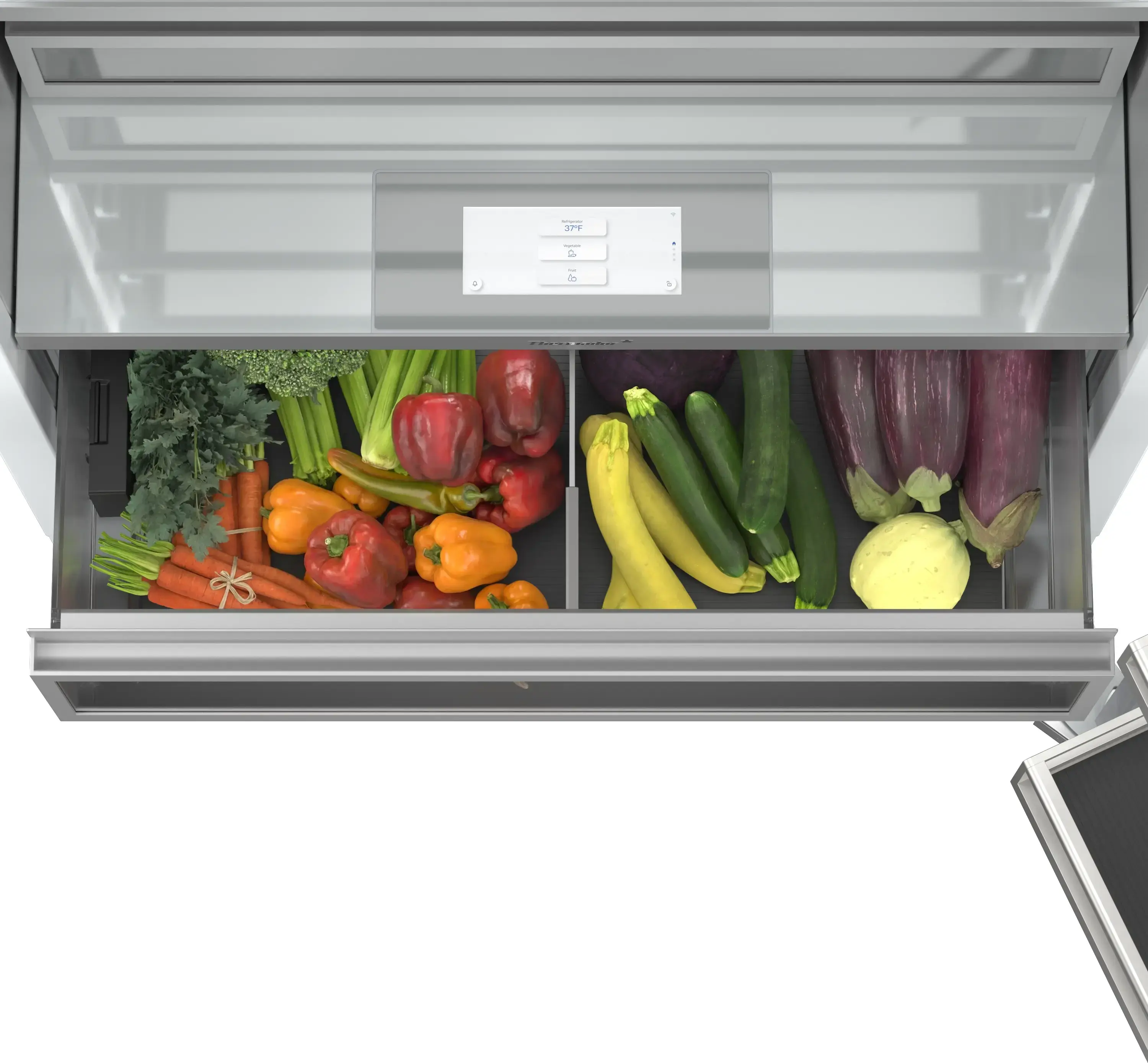 Thermador T36IR100SP Panel Ready