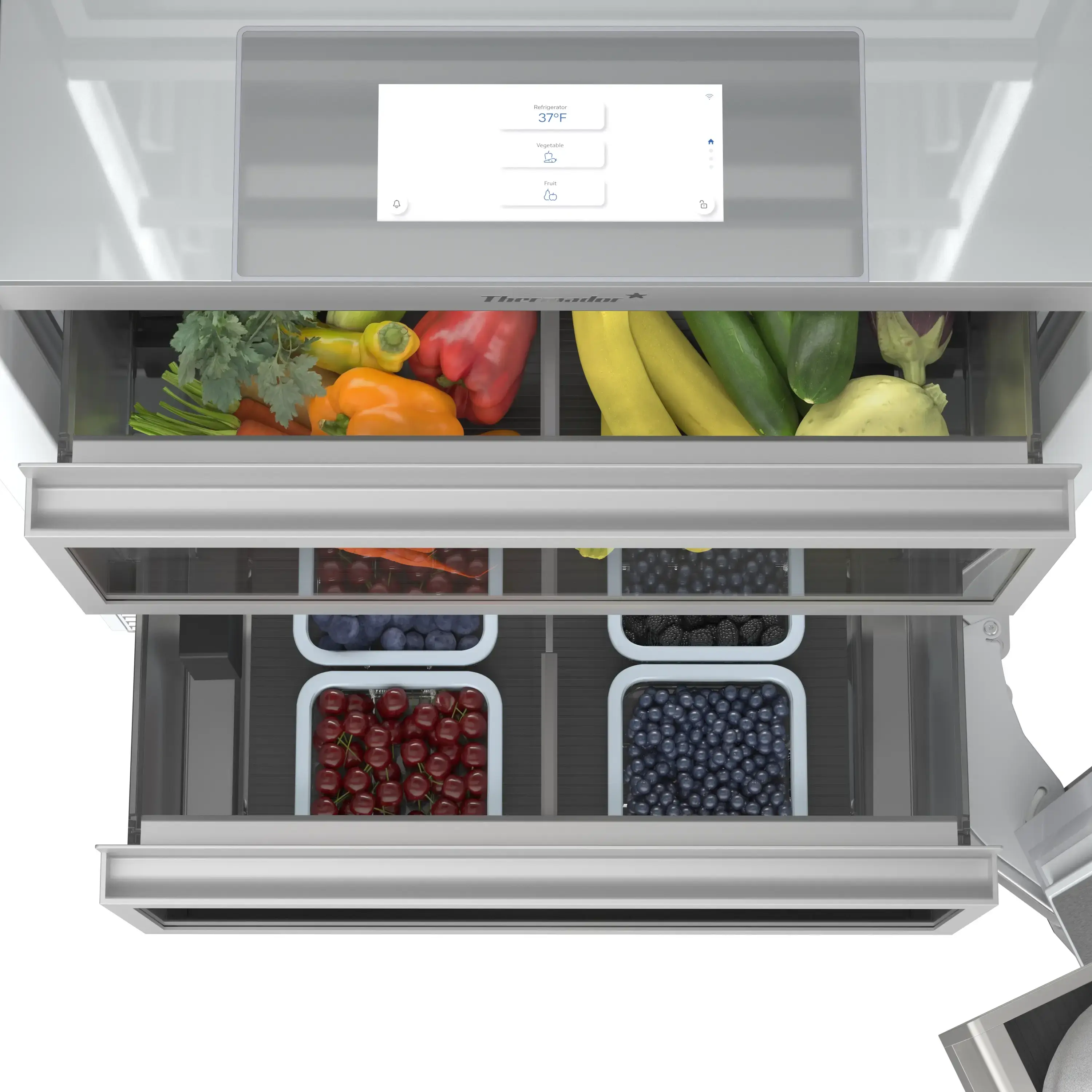 Thermador T24IR100SP Panel Ready