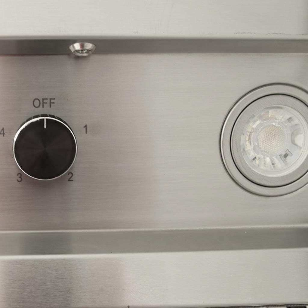 Blaze BLZ42VHOOD Stainless Steel
