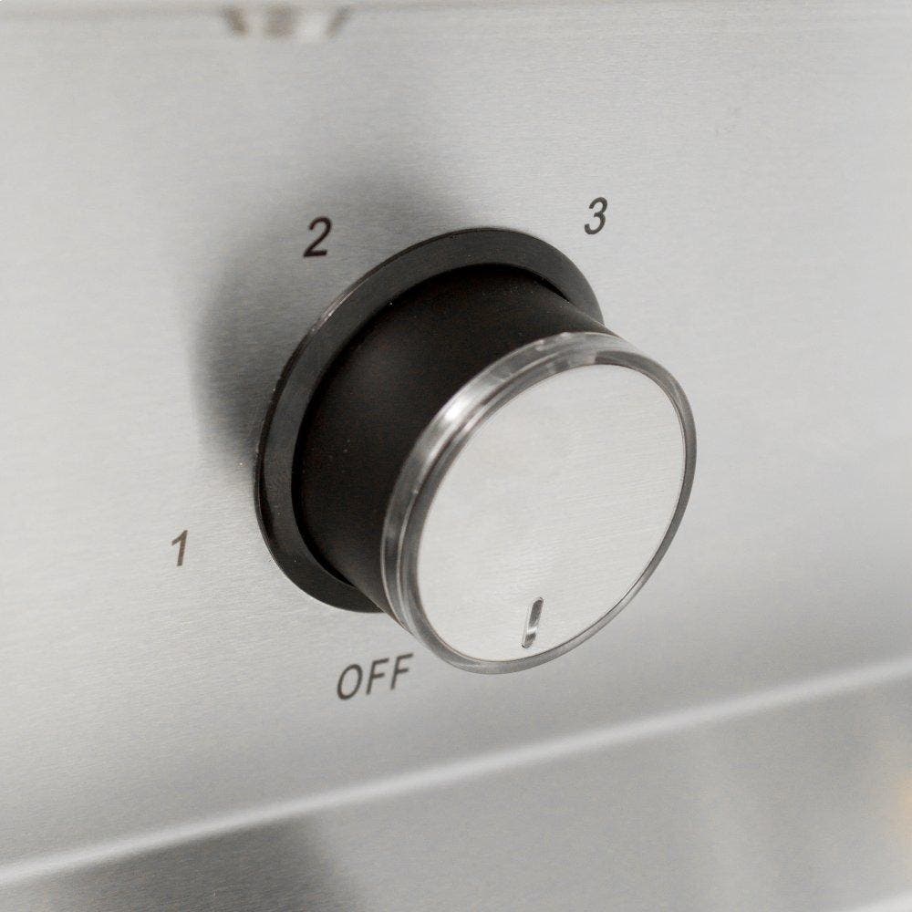 Blaze BLZWVH42 Stainless Steel