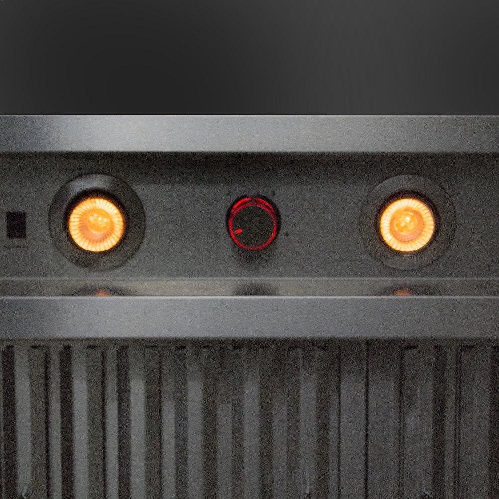 Blaze BLZWVH42 Stainless Steel