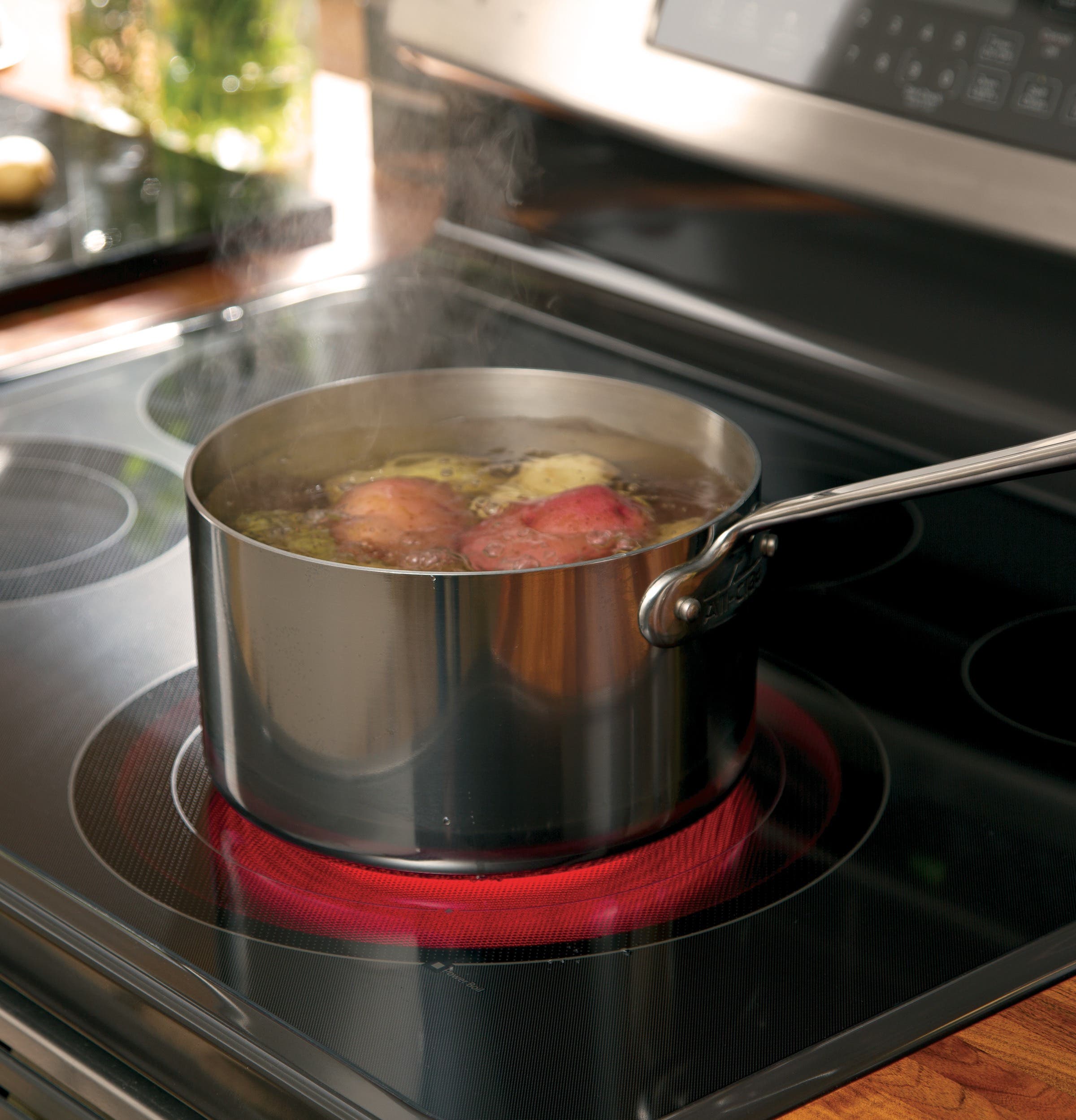 GE PB930SHSS Stainless Steel