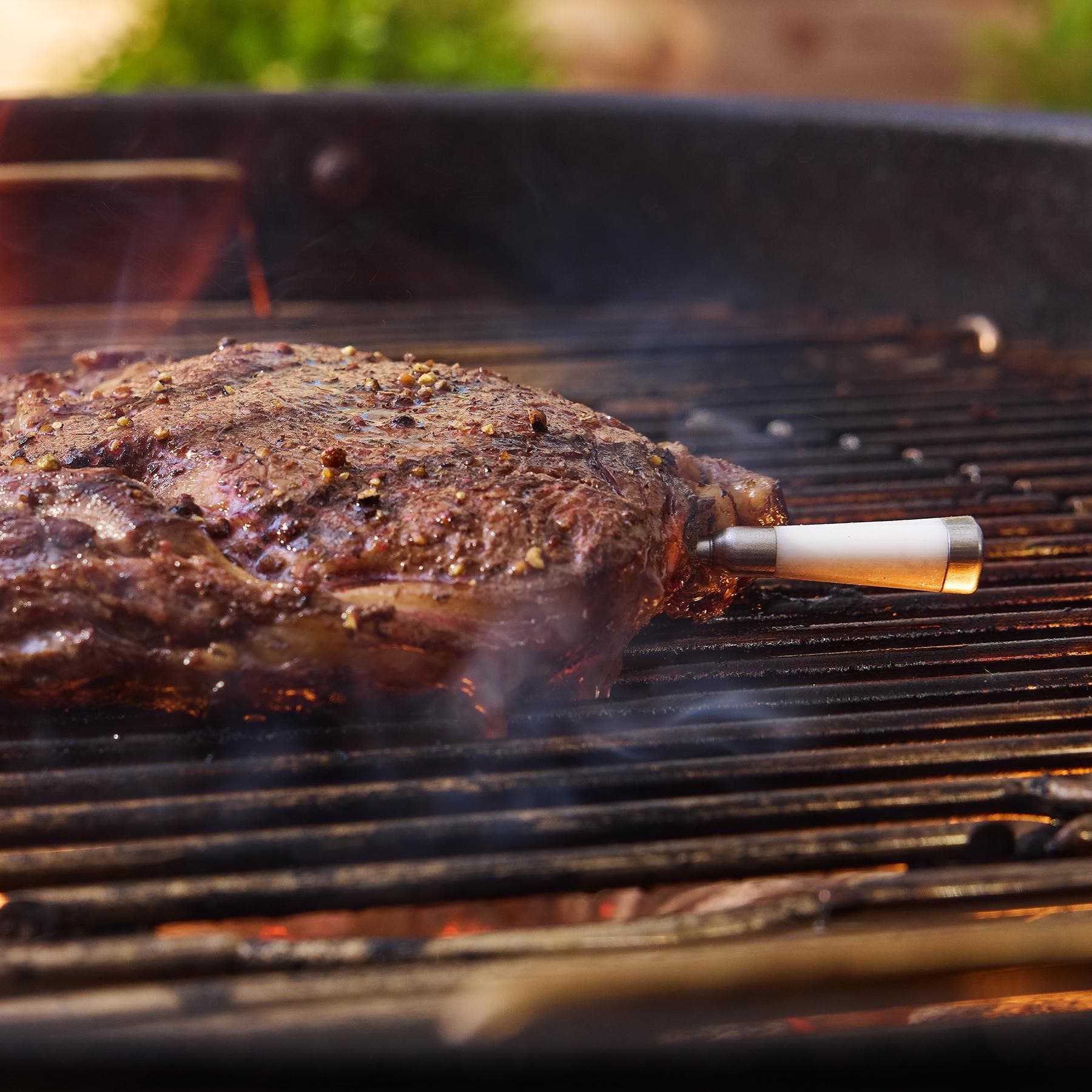 Weber 3401160 
