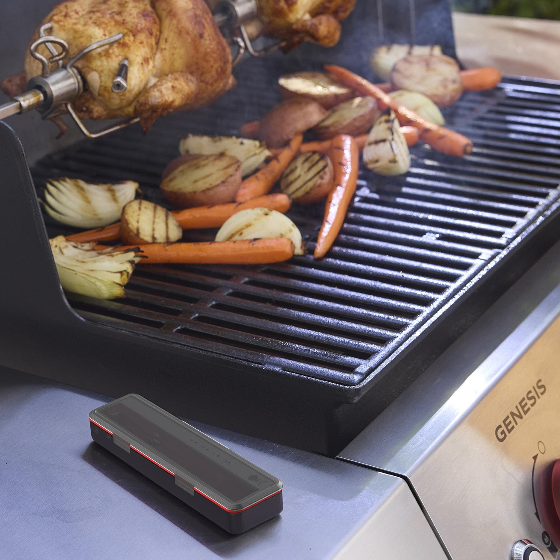 Weber 3400603 